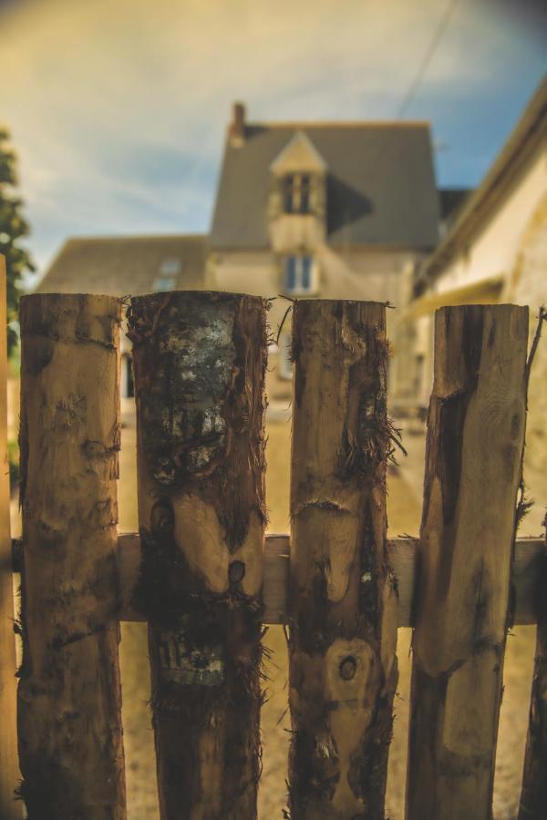 Le Petit Nancay Bed & Breakfast Thénioux Exterior foto